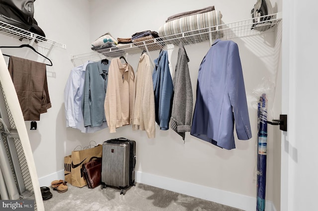 spacious closet with carpet floors