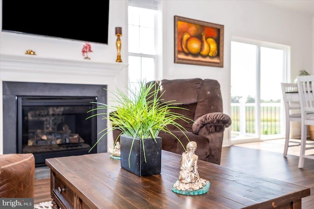 living room featuring a glass covered fireplace and wood finished floors