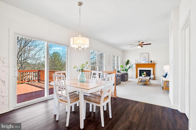 dining room featuring dark wood finished floors, a fireplace, and ceiling fan with notable chandelier