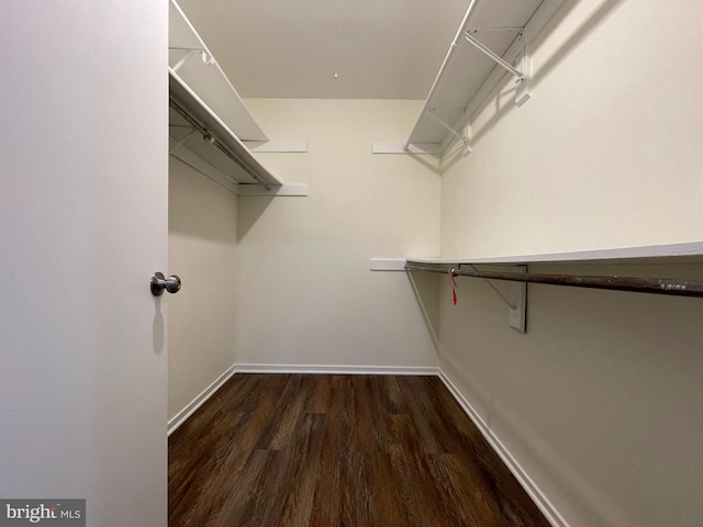 walk in closet with dark wood-style floors