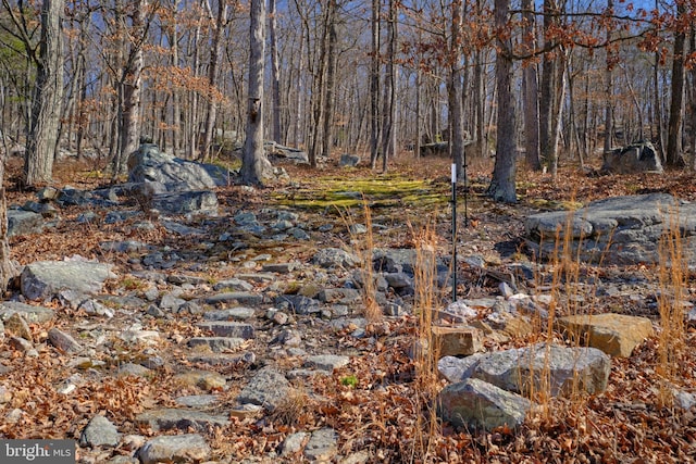 view of local wilderness with a forest view