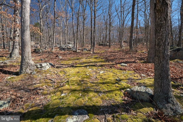 view of landscape featuring a view of trees