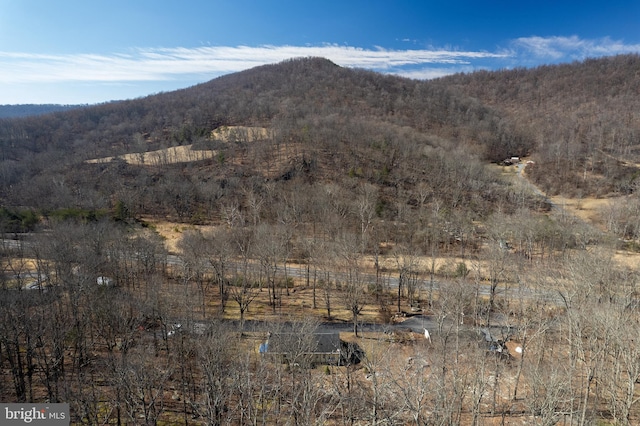 mountain view with a forest view