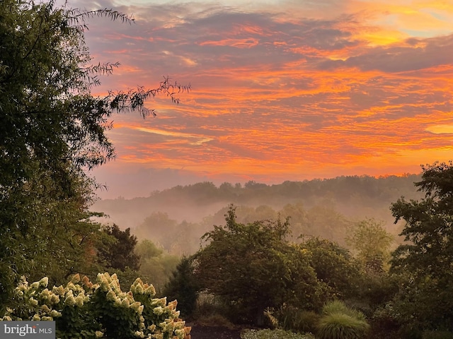 view of nature at dusk