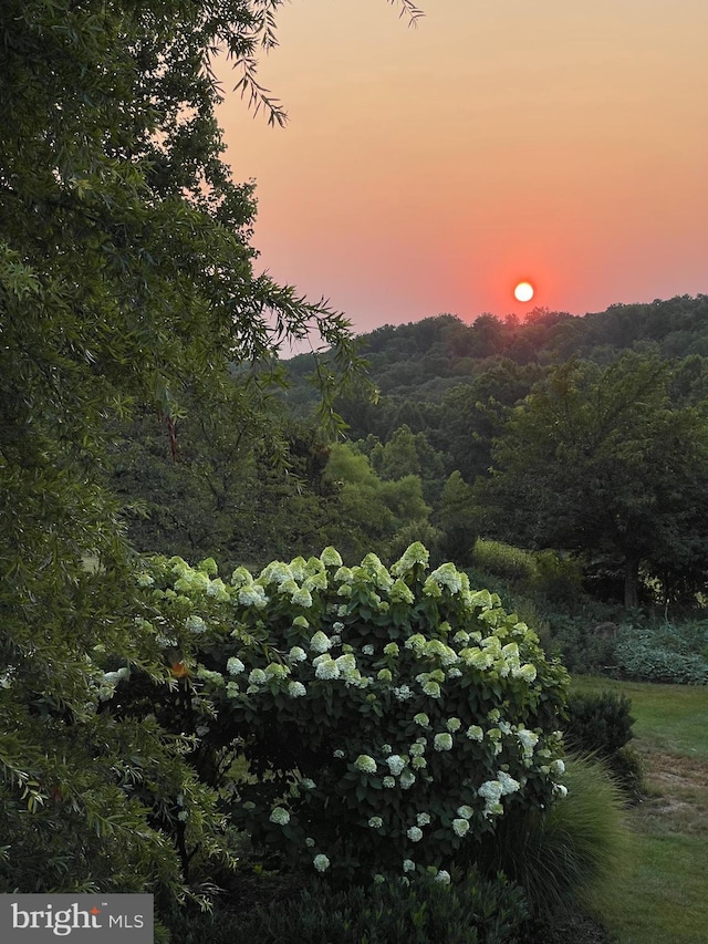 property view of mountains featuring a wooded view