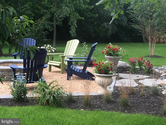 view of yard featuring a patio area