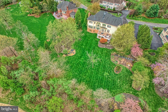 bird's eye view