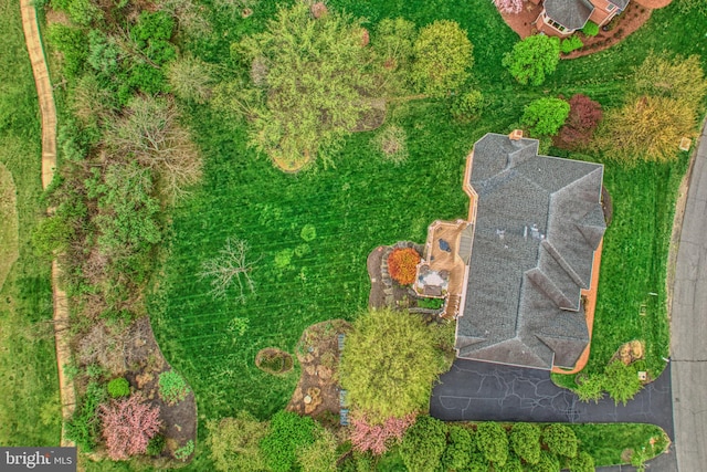 drone / aerial view