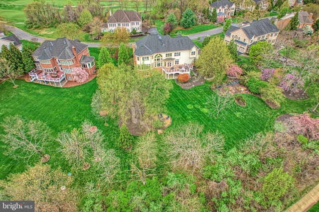 bird's eye view