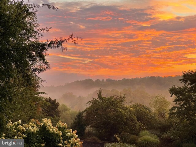 view of nature