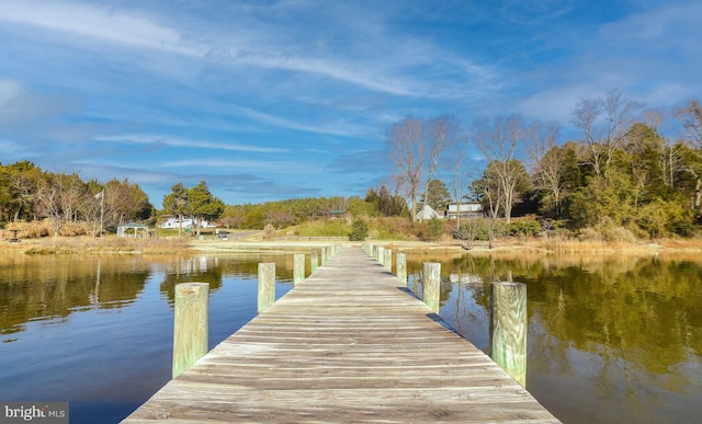 dock area with a water view