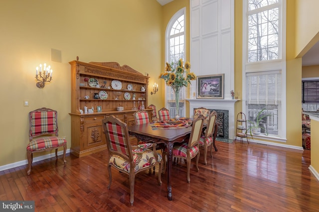 dining room featuring a high ceiling, wood finished floors, and a healthy amount of sunlight