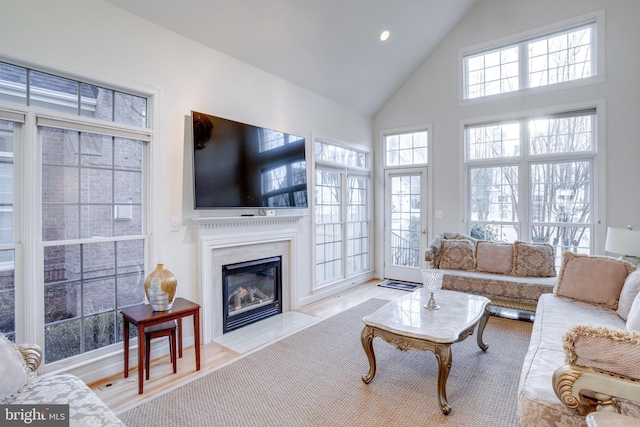 living room featuring high vaulted ceiling, wood finished floors, and a high end fireplace