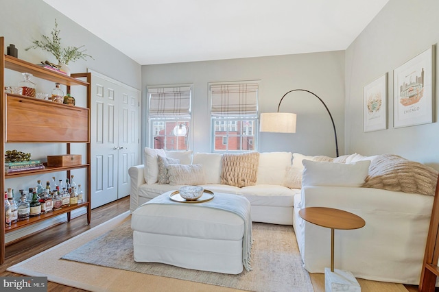 living room with wood finished floors