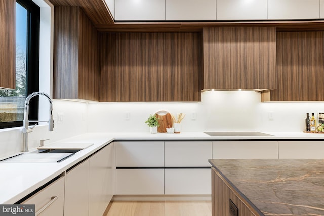 kitchen with black electric stovetop, a sink, white cabinets, light countertops, and modern cabinets