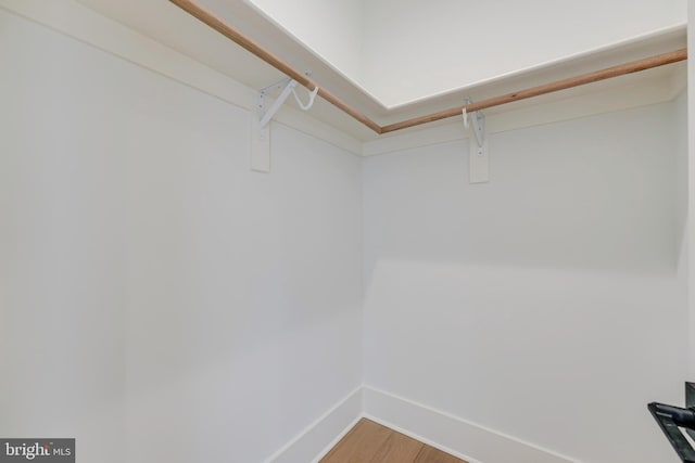 spacious closet featuring wood finished floors