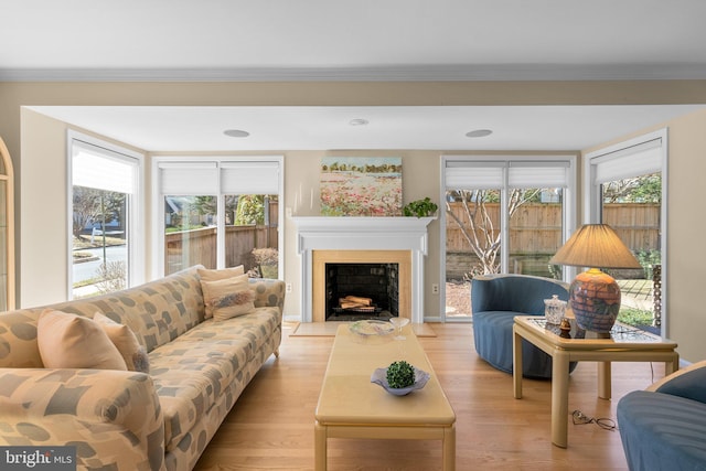 living area with light wood finished floors, a fireplace, and a wealth of natural light