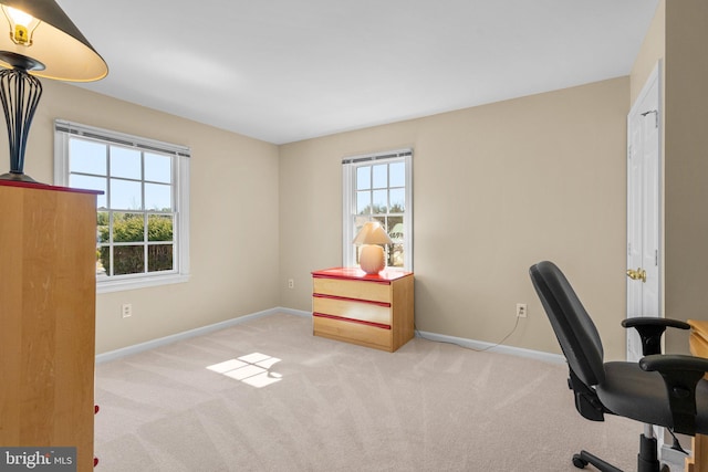 office space with baseboards and carpet