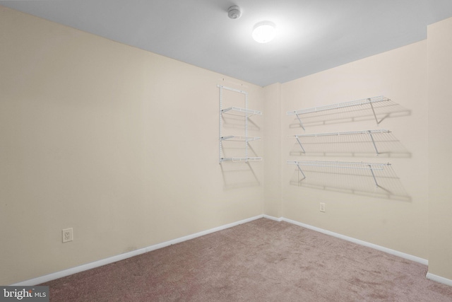 walk in closet with carpet