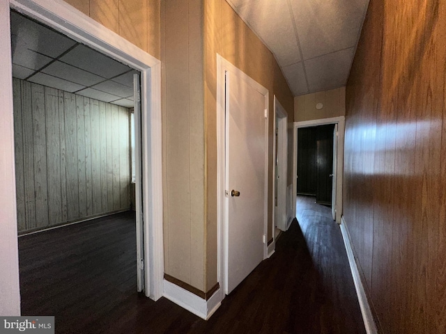 hall with a paneled ceiling, wood walls, baseboards, and dark wood-type flooring