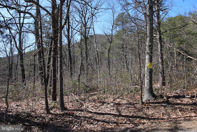 Shipwreck Rd, Shenandoah VA, 22849 land for sale