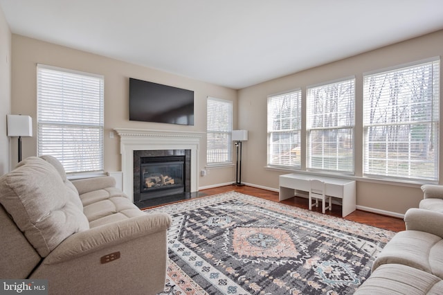 living area featuring a wealth of natural light, baseboards, a fireplace with flush hearth, and wood finished floors