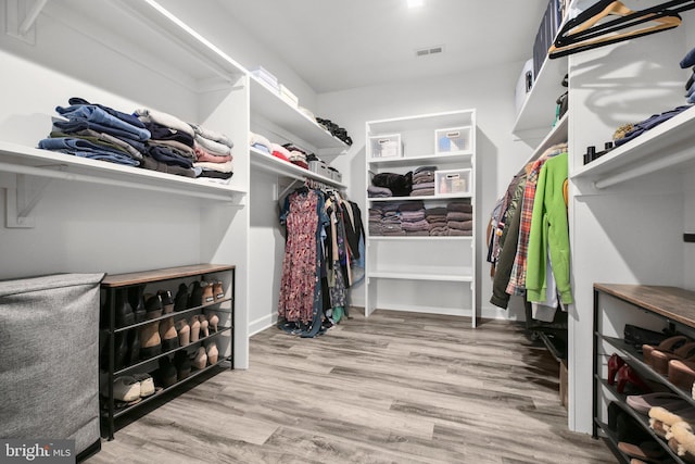 walk in closet featuring visible vents and wood finished floors