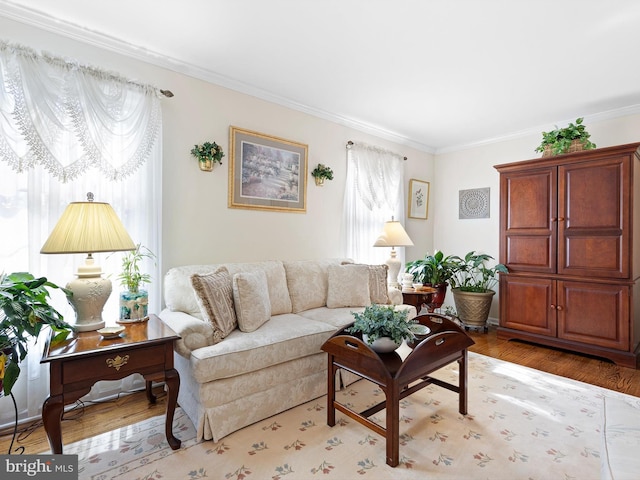 living area featuring ornamental molding and wood finished floors