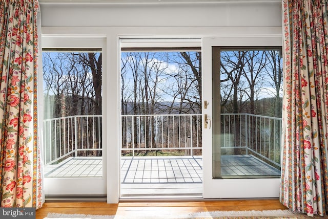 entryway with a healthy amount of sunlight and wood finished floors