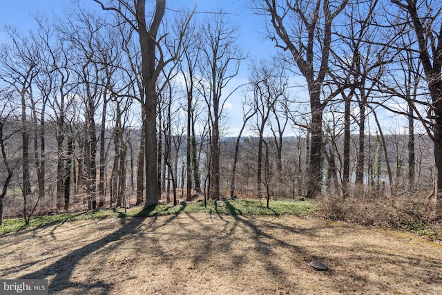 view of yard featuring a wooded view