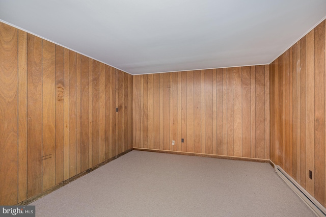13086 Langley Rd, Bryantown, MD 20617 - carpeted spare room featuring wood walls and baseboard heating