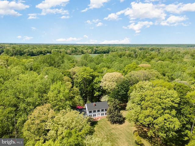 13086 Langley Rd, Bryantown, MD 20617 - aerial view with a wooded view