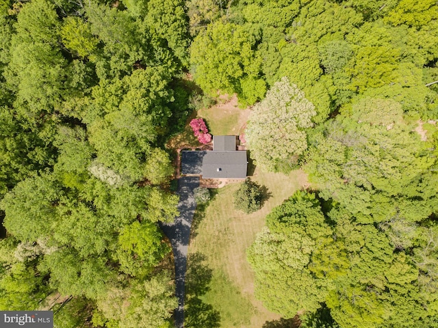 13086 Langley Rd, Bryantown, MD 20617 - birds eye view of property with a view of trees