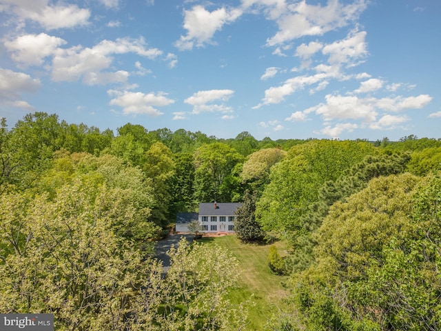 13086 Langley Rd, Bryantown, MD 20617 - drone / aerial view with a view of trees