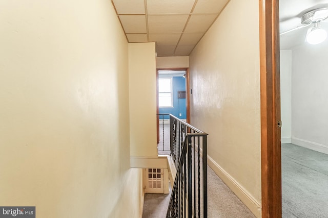 stairway with carpet floors, baseboards, and a paneled ceiling