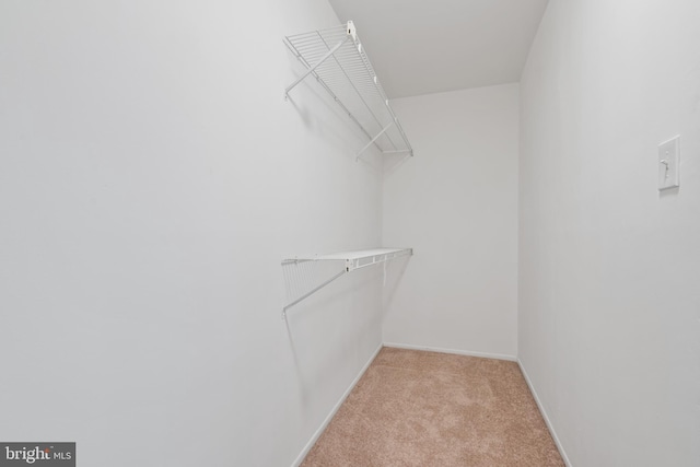 walk in closet featuring light carpet