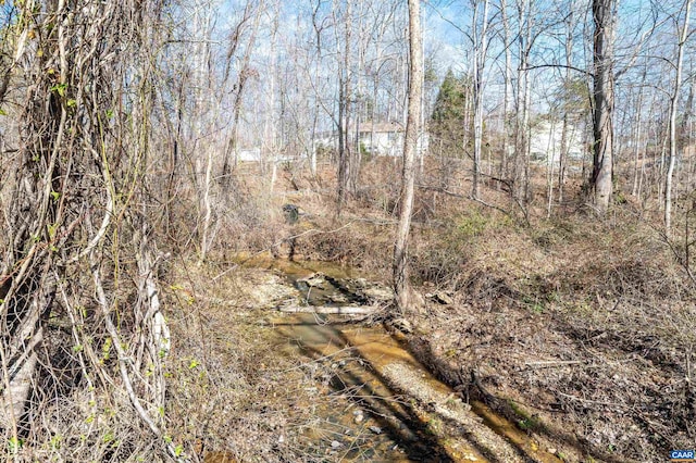 view of landscape with a wooded view