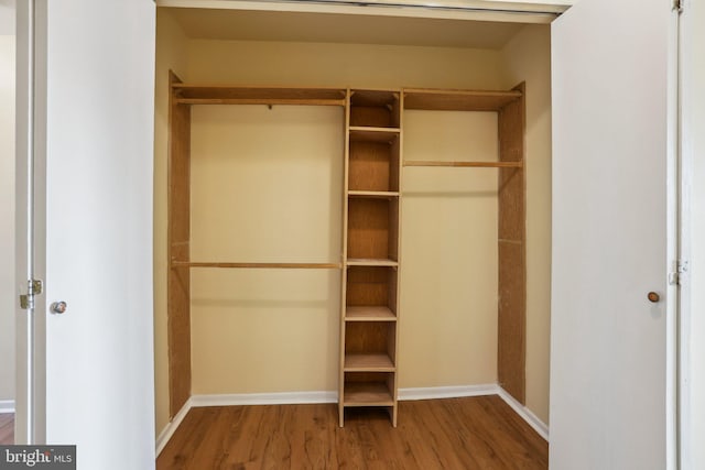 view of closet