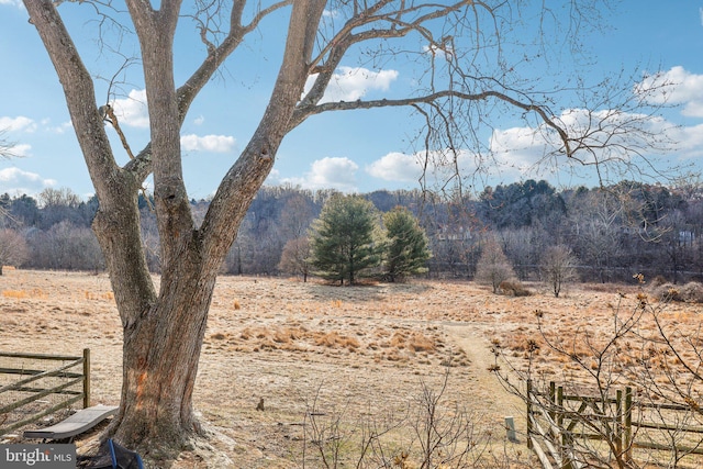 mountain view featuring a wooded view