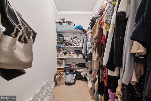 spacious closet with carpet flooring