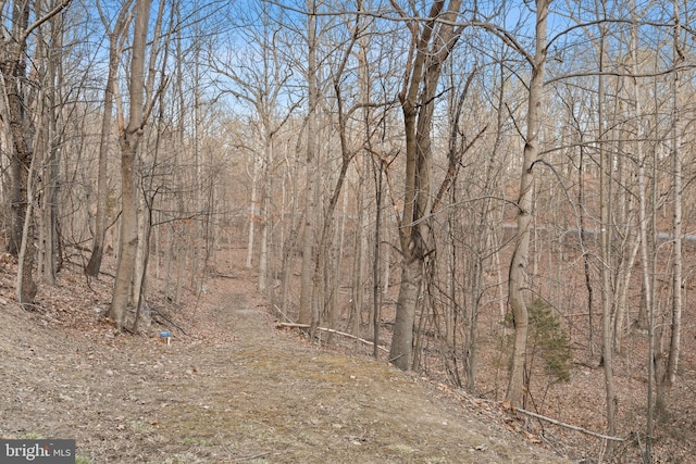 view of landscape