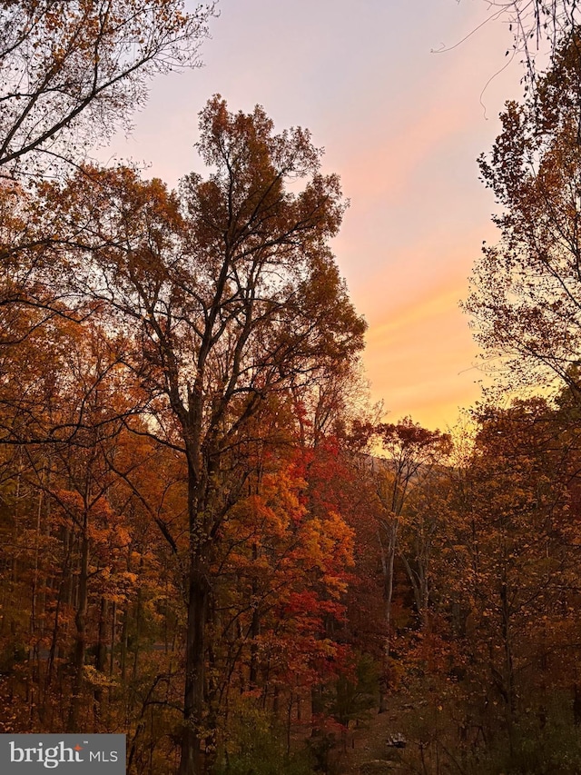 view of landscape featuring a wooded view