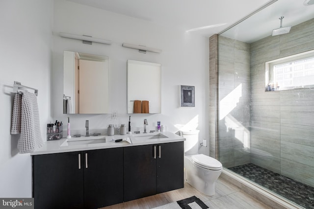 bathroom with toilet, a shower stall, double vanity, and a sink