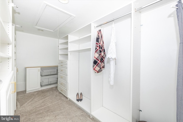 spacious closet featuring light carpet and attic access