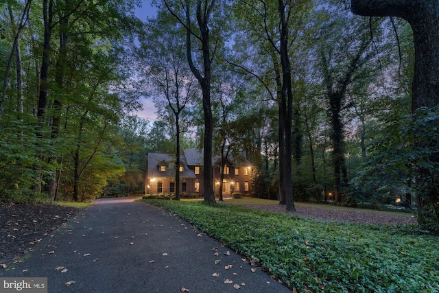 view of front of property featuring driveway