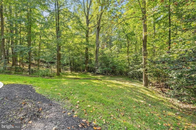 view of yard with a view of trees