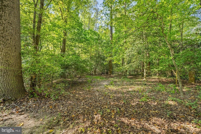 view of landscape featuring a forest view