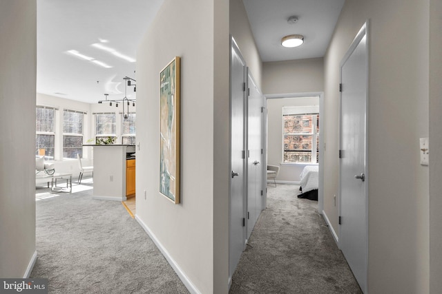 corridor featuring light colored carpet, baseboards, and a healthy amount of sunlight