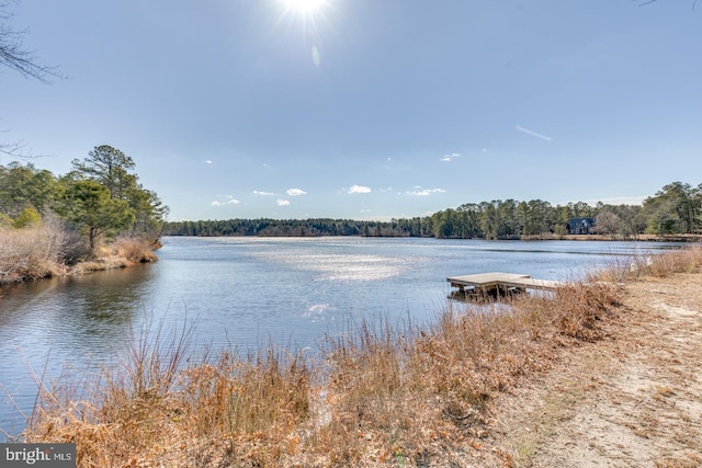 property view of water featuring a wooded view