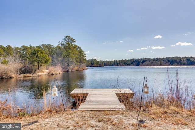 dock area with a water view and a view of trees